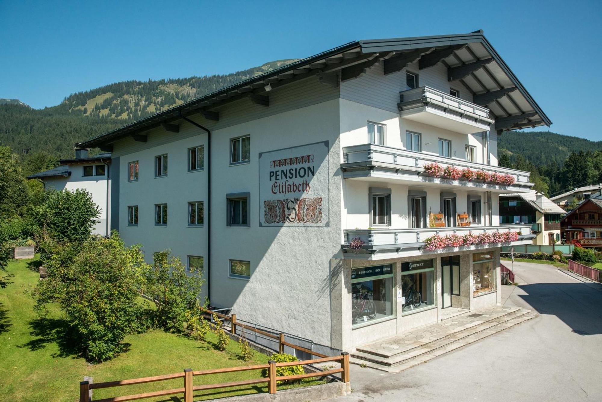 Pension Elisabeth Русбах-ам-Пас-Гшютт Экстерьер фото